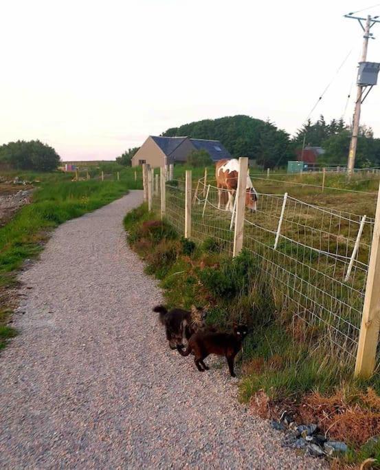 Isla'S Cottage Stornoway  Dış mekan fotoğraf